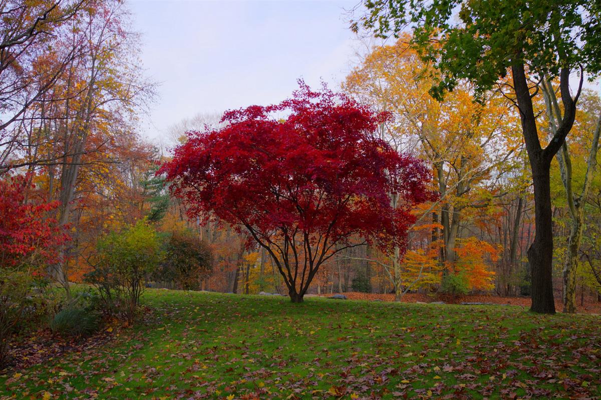 Houses for Sale in Leonia Leonia Real Estate Broker Homes sale in